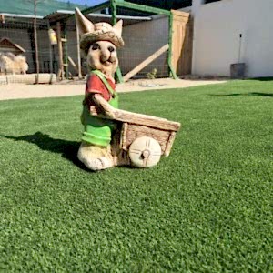 Çim Halı