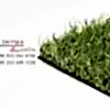 20mm Sarı Otlu Çim Halı