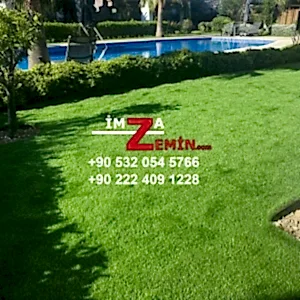 Havuz Kenarı Çimen