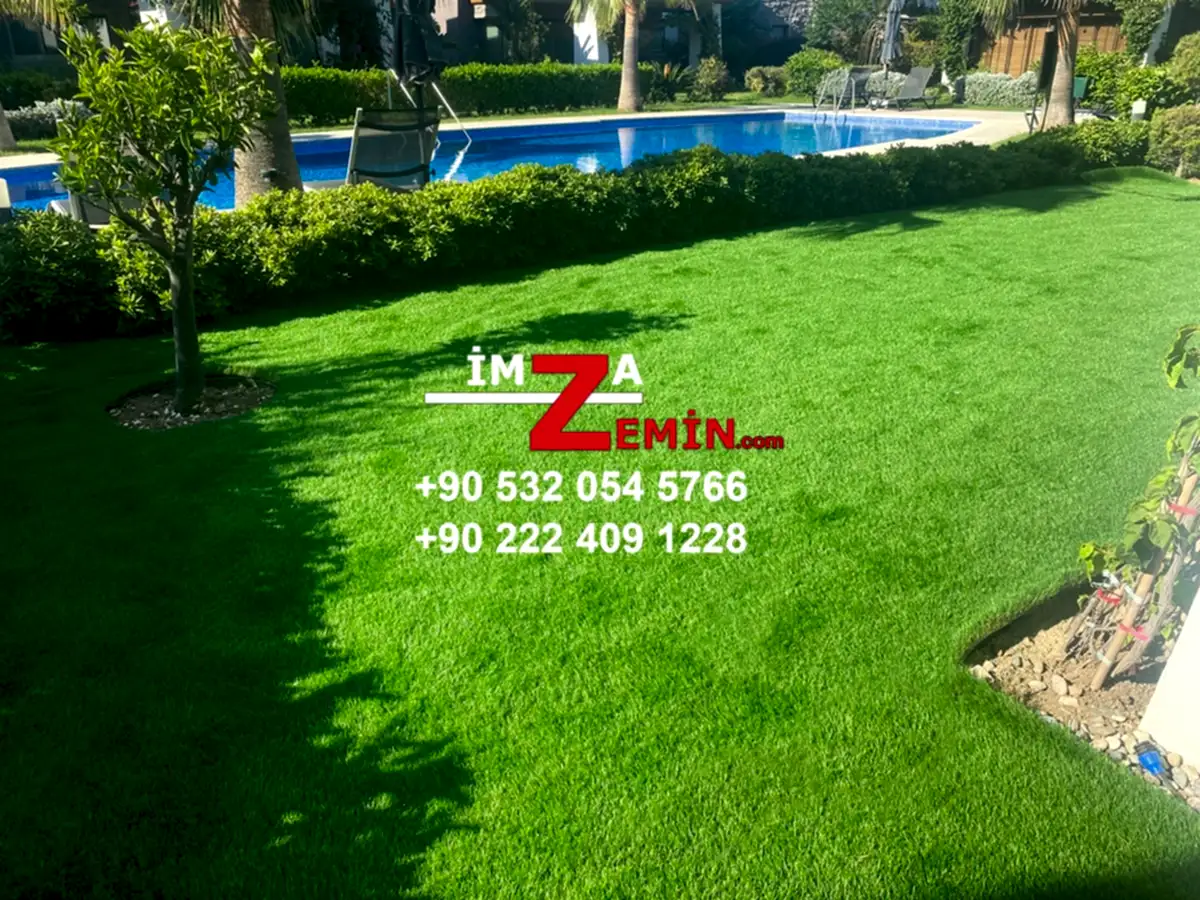 Havuz Kenarı Çimen