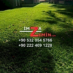 Sarartılmış Çim Halı